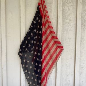 Brand New Luxury Beryll Cashmere Scarf